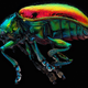 Illustration for article titled Macrophotographs of insects to melt your face